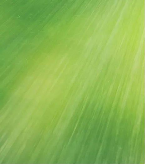 Image of sprayer with green background