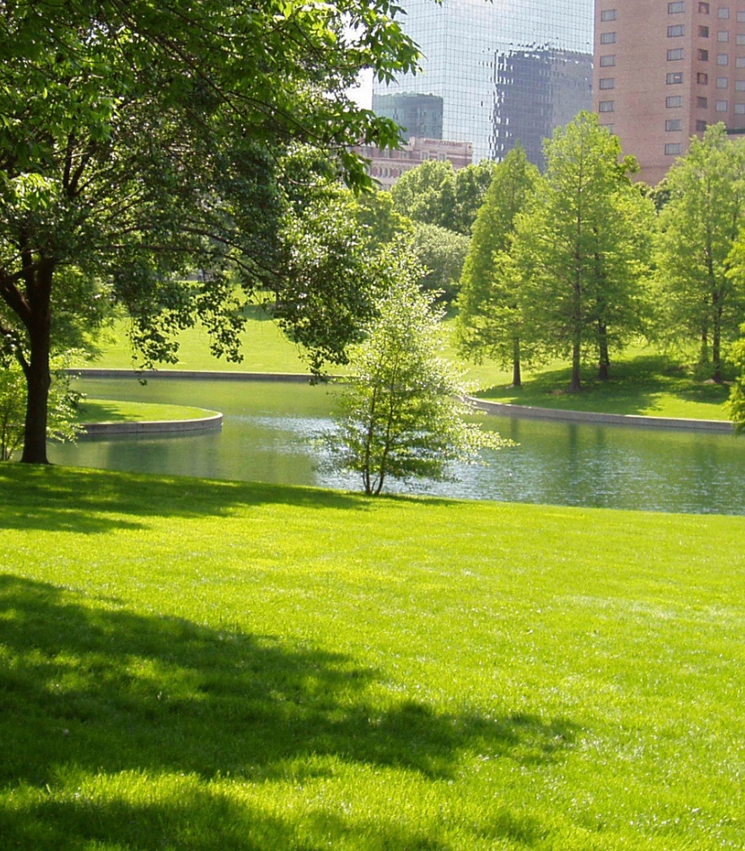 image of grass with pond in distance