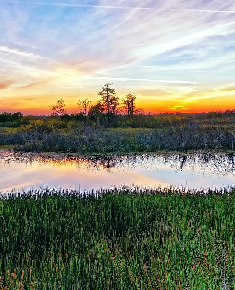 image of pond with sunset